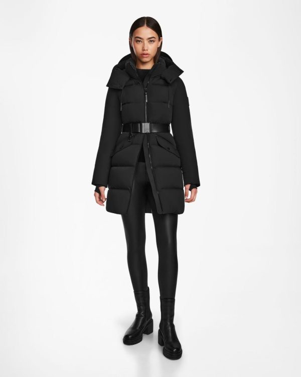 Stridestream.shop070241ee81 1